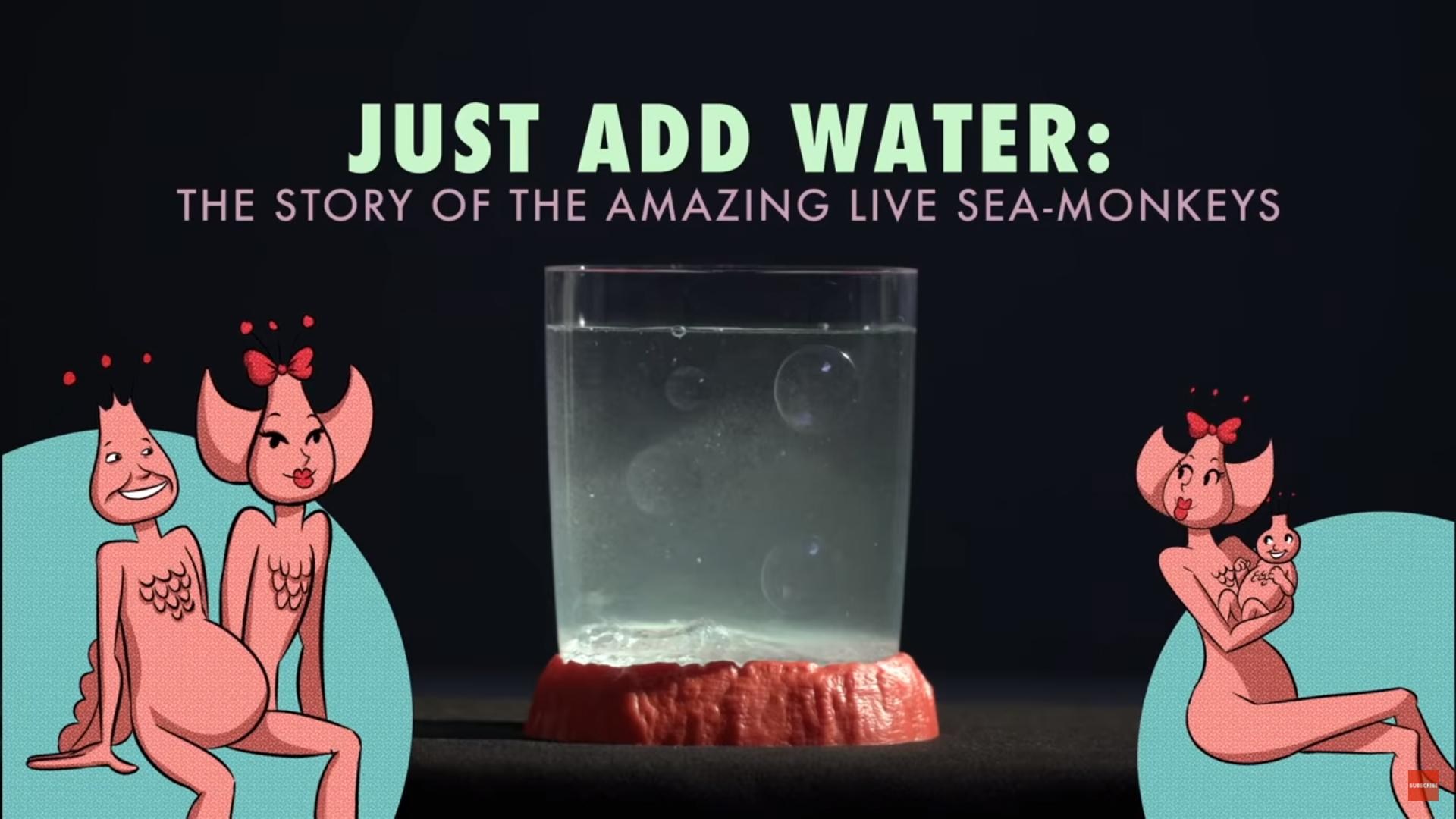 【閒聊】加水即可：海猴寶寶的精采故事 The Mad Genius Behind Sea Monkeys 中文字幕 @幸福寵物交流區 哈啦板 ...