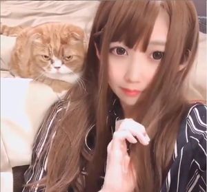 拉風ㄉ女人٩ ᗜ ୨ Vtuber 潤羽るしあ 究極の調查報告書 場外休憩區哈啦板 巴哈姆特