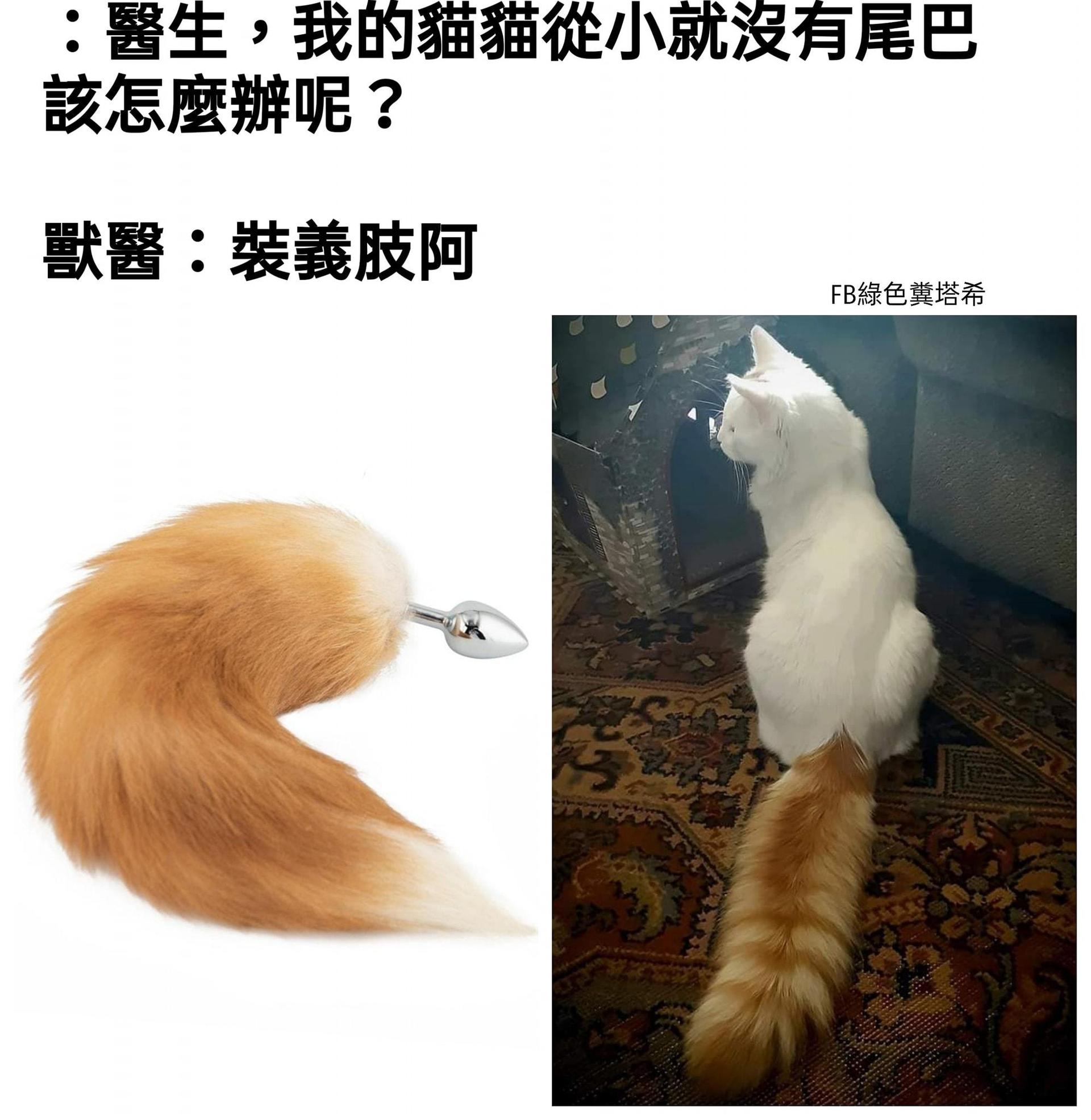 Its tail is long. Its Tail.