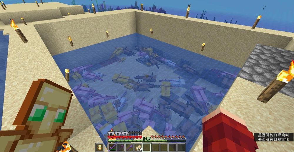 墨西哥鈍口螈minecraft 加速世界劇場版國語