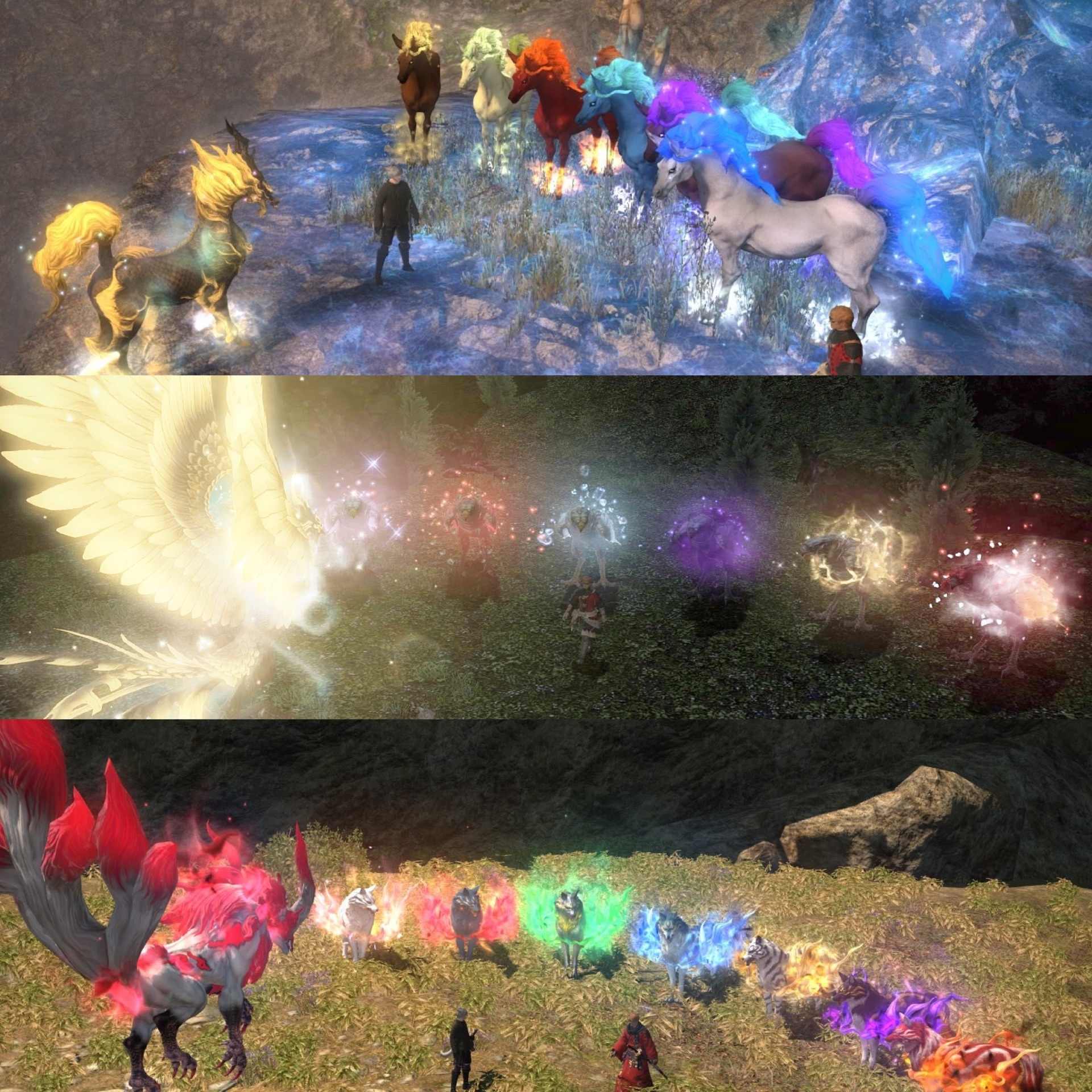 爆募 Aegis 孤犬部隊 The Premature Burial Final Fantasy Xiv 哈啦板 巴哈姆特