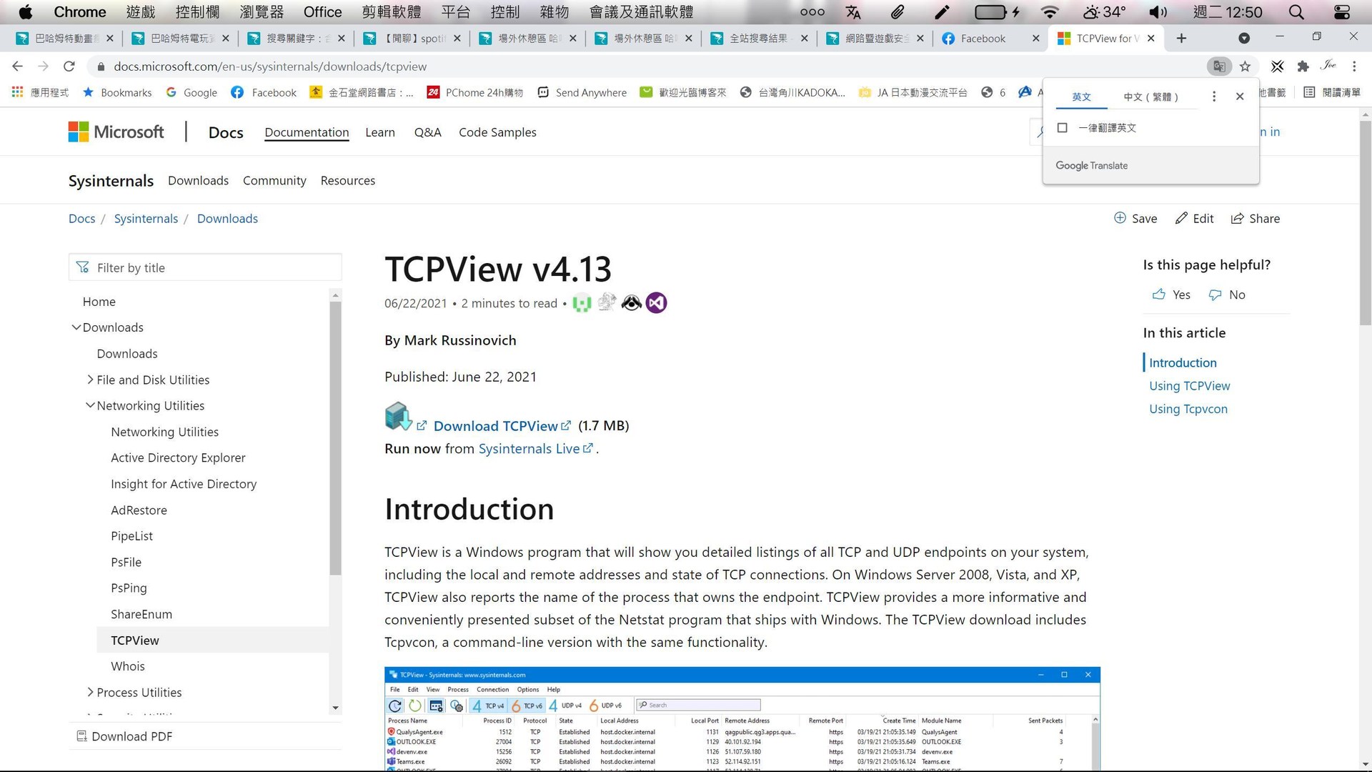 【問題】想請問TCPview這款工具 @網路暨遊戲安全防護 哈啦板 - 巴哈姆特