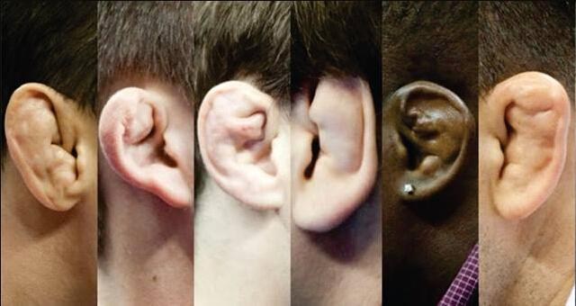 問題 柔道耳 綜合武術交流哈拉板哈啦板 巴哈姆特