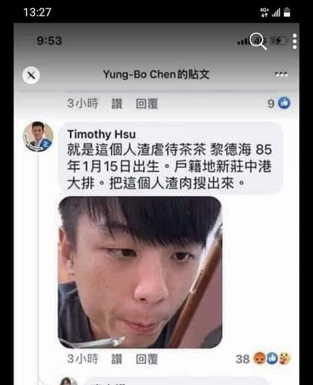 認真】一起來聲援受虐貓茶茶好嗎？9/2更新對話@場外休憩區哈啦板- 巴哈姆特