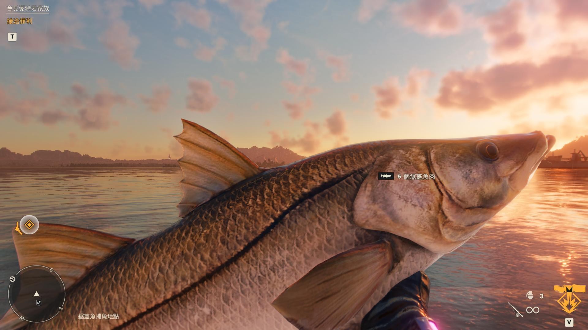 閒聊】釣魚也能釣出情調@極地戰嚎哈啦板- 巴哈姆特