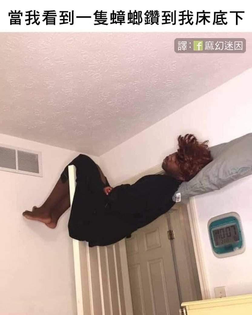 RE:【心得】【自然捲&生活】冷靜我拜託你冷靜! @歡樂惡搞KUSO 哈啦板- 巴哈姆特