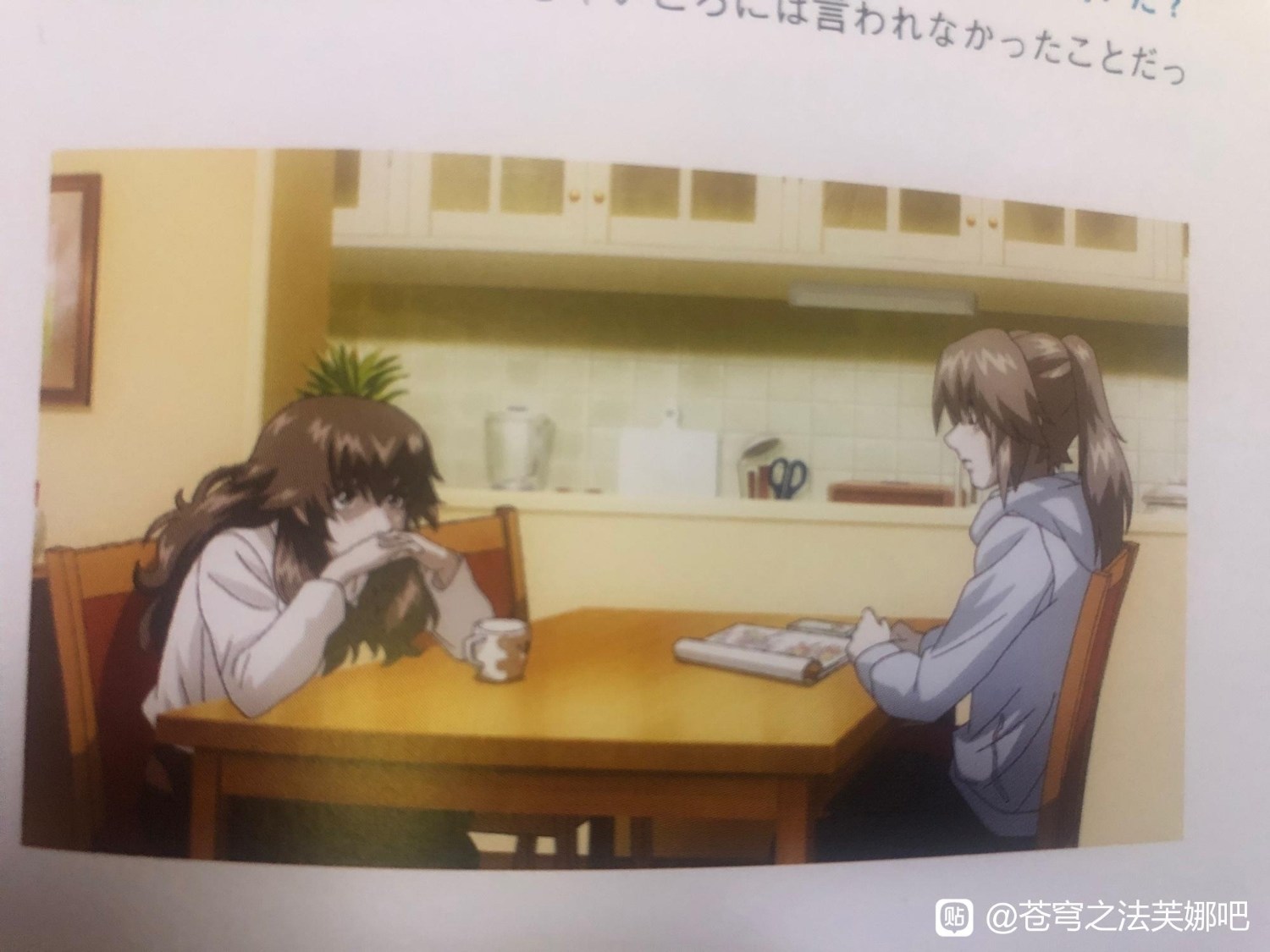 情報 蒼穹之戰神 10 12集最終話劇透有雷轉自微博百度 蒼穹之戰神哈啦板 巴哈姆特