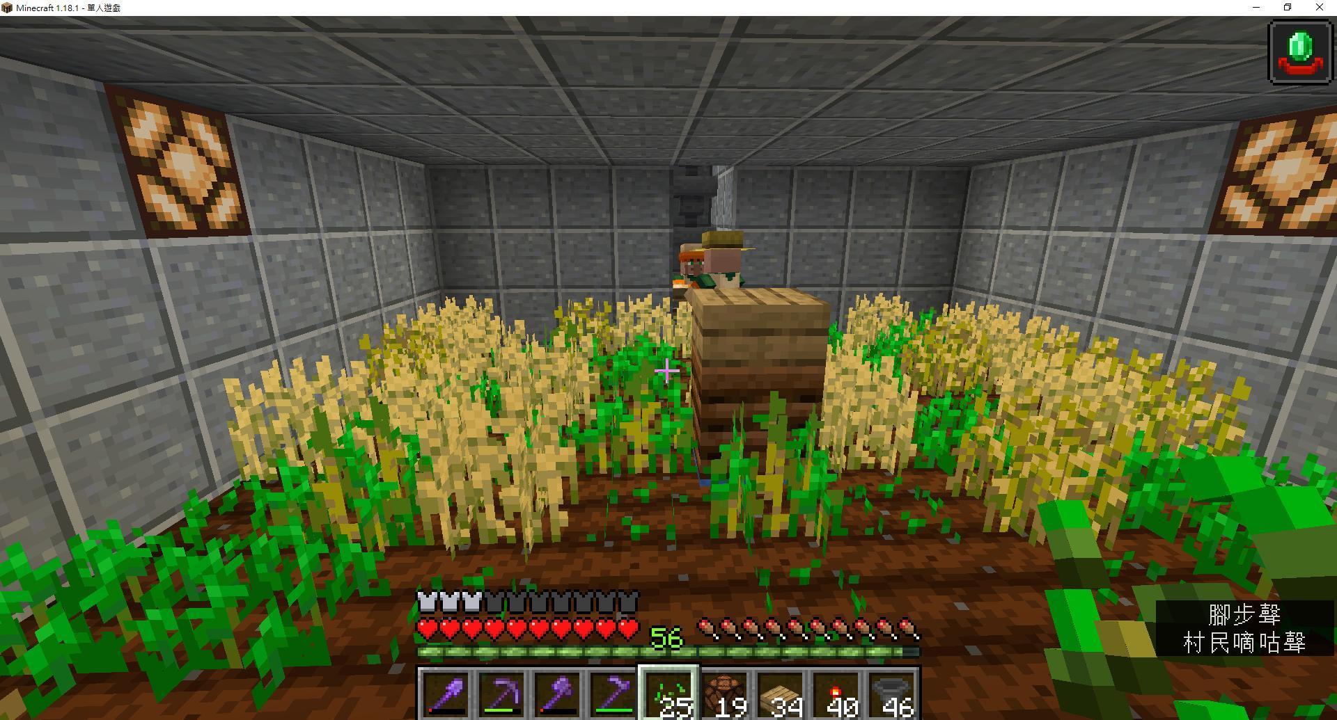 【問題】種田時遇到BUG種子種不上去 @Minecraft 我的世界（當個創世神） 哈啦板 - 巴哈姆特