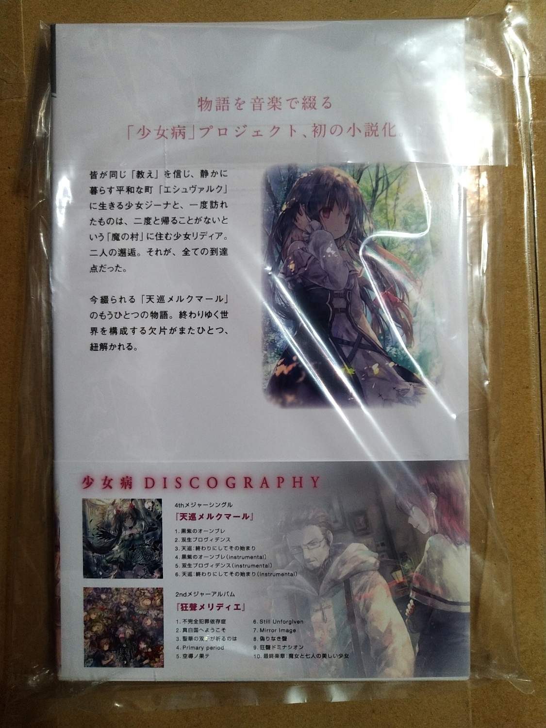 少女病小說天巡メルクマール Die Vollendung Z的創作 巴哈姆特