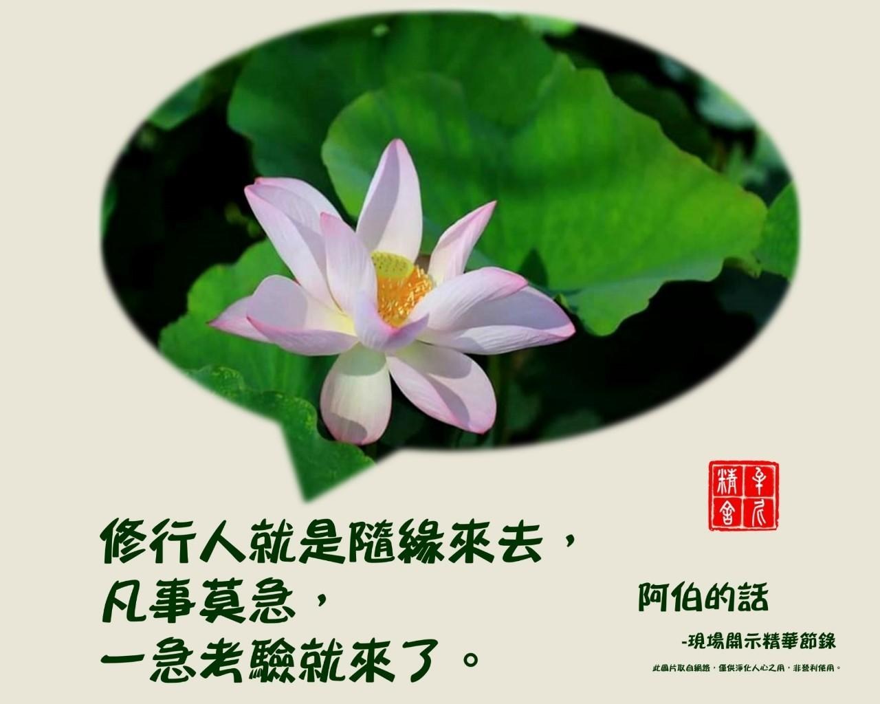 raw-image