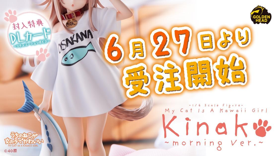 情報】『うちのねこが女の子でかわいい』1/6「きなこ 情報】『うちのねこが女の子でかわいい』1/6「きなこ