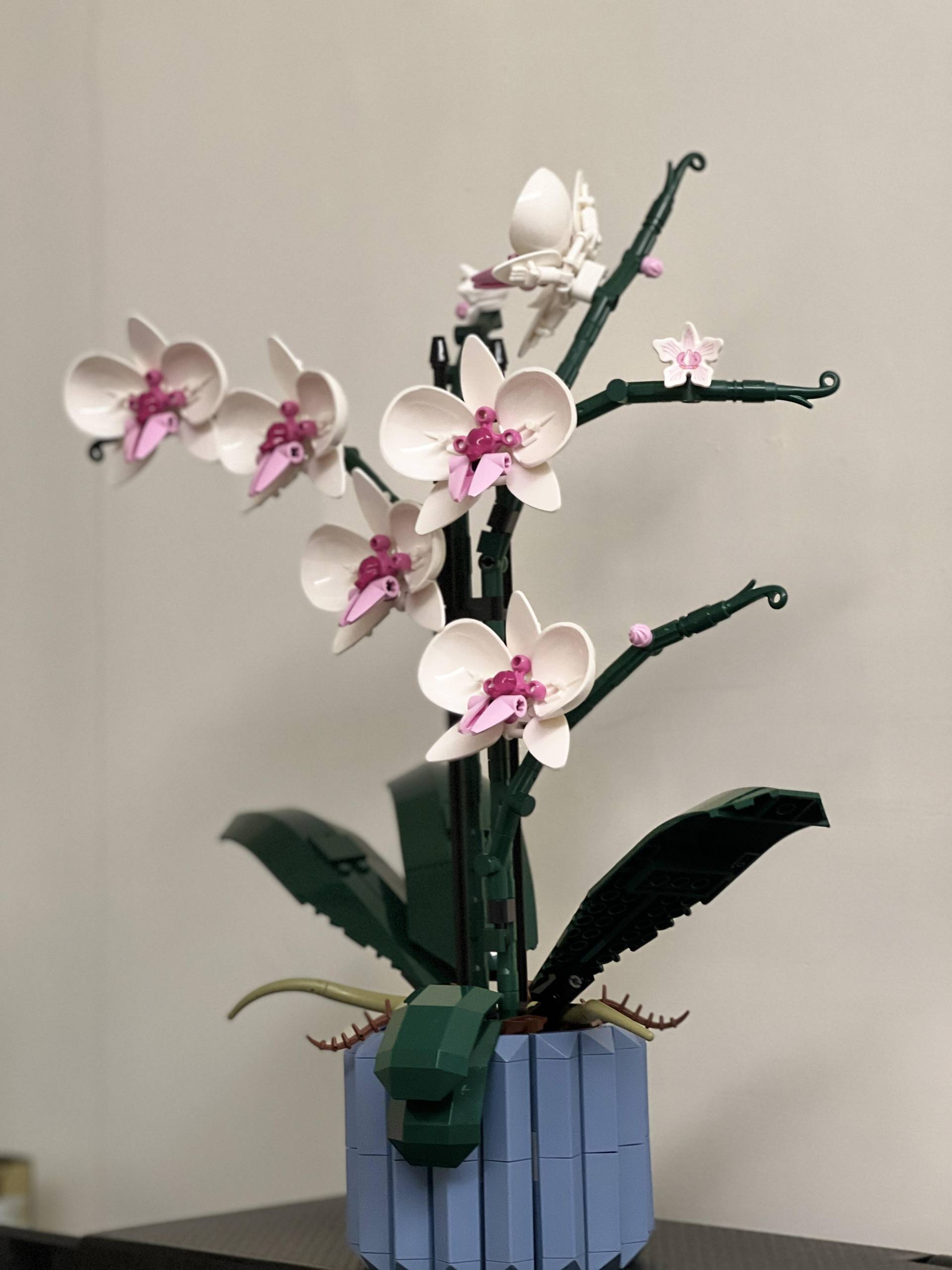 【心得】新手挑戰lego 10311 蘭花 不專業心得 @樂高積木相關綜合 精華區 - 巴哈姆特