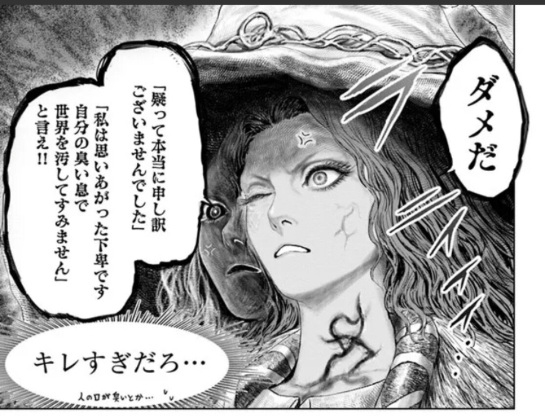 ラニディンのリーフレット