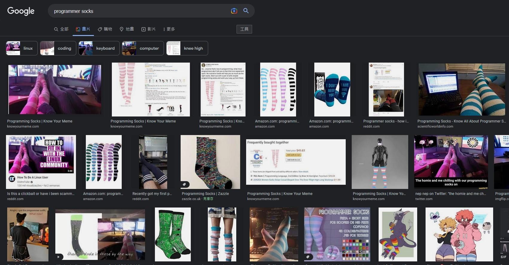 【問題】大家在寫程式的時候會穿Programmer Socks嗎? @場外休憩區 哈啦板 - 巴哈姆特