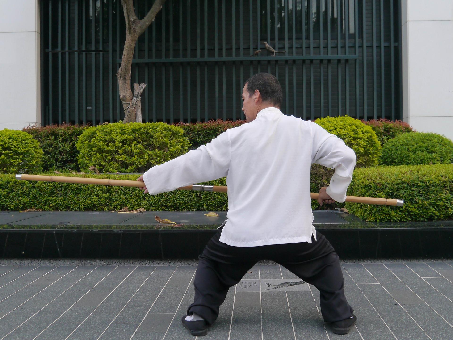 [達人專欄] 熊門太祖棍～42進步進擊棍、43退步掃後棍、44左進雪花蓋頂、45轉身左靠棍 - lkkchl2022的創作 - 巴哈姆特