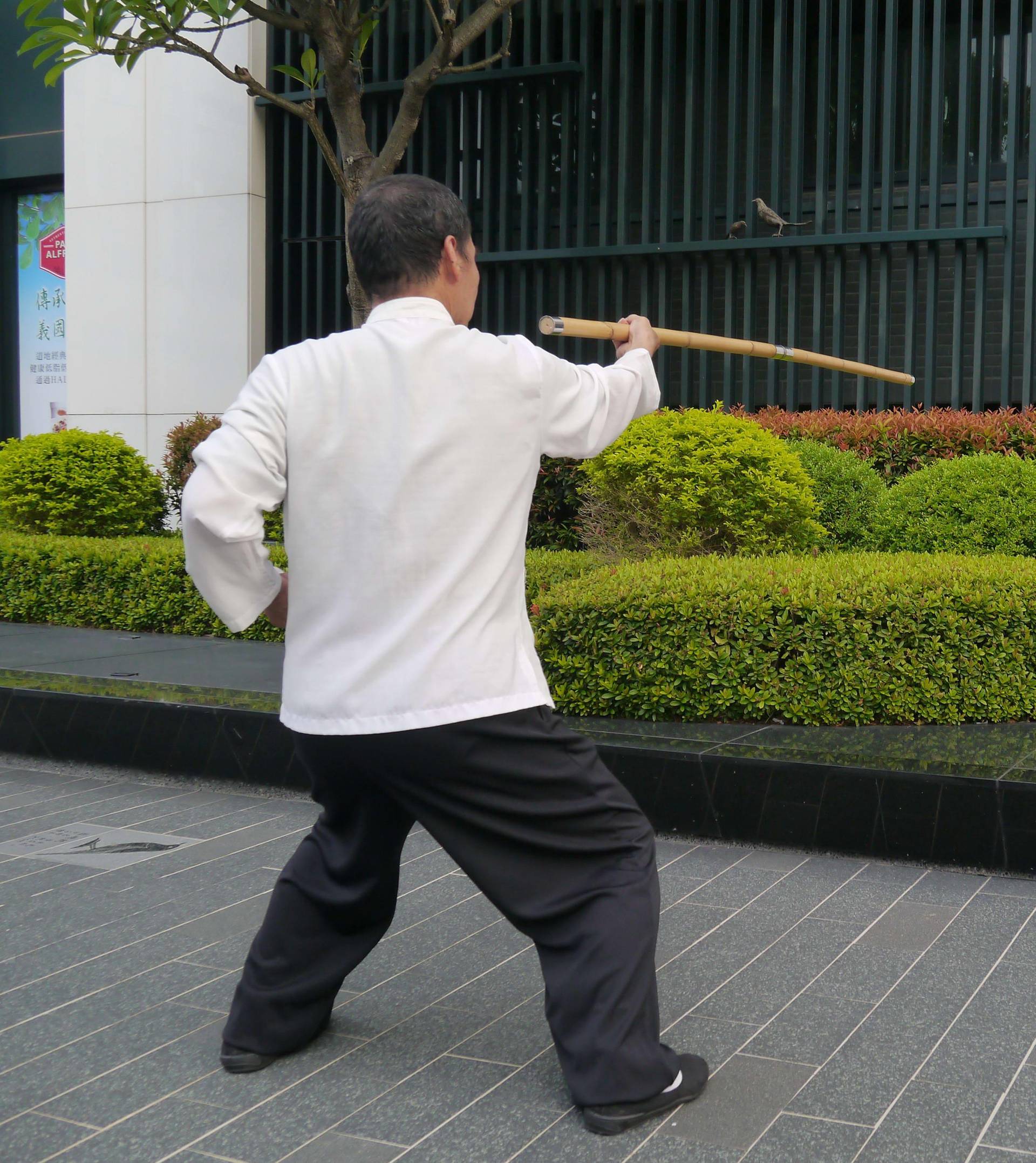 [達人專欄] 熊門太祖棍～42進步進擊棍、43退步掃後棍、44左進雪花蓋頂、45轉身左靠棍 - lkkchl2022的創作 - 巴哈姆特
