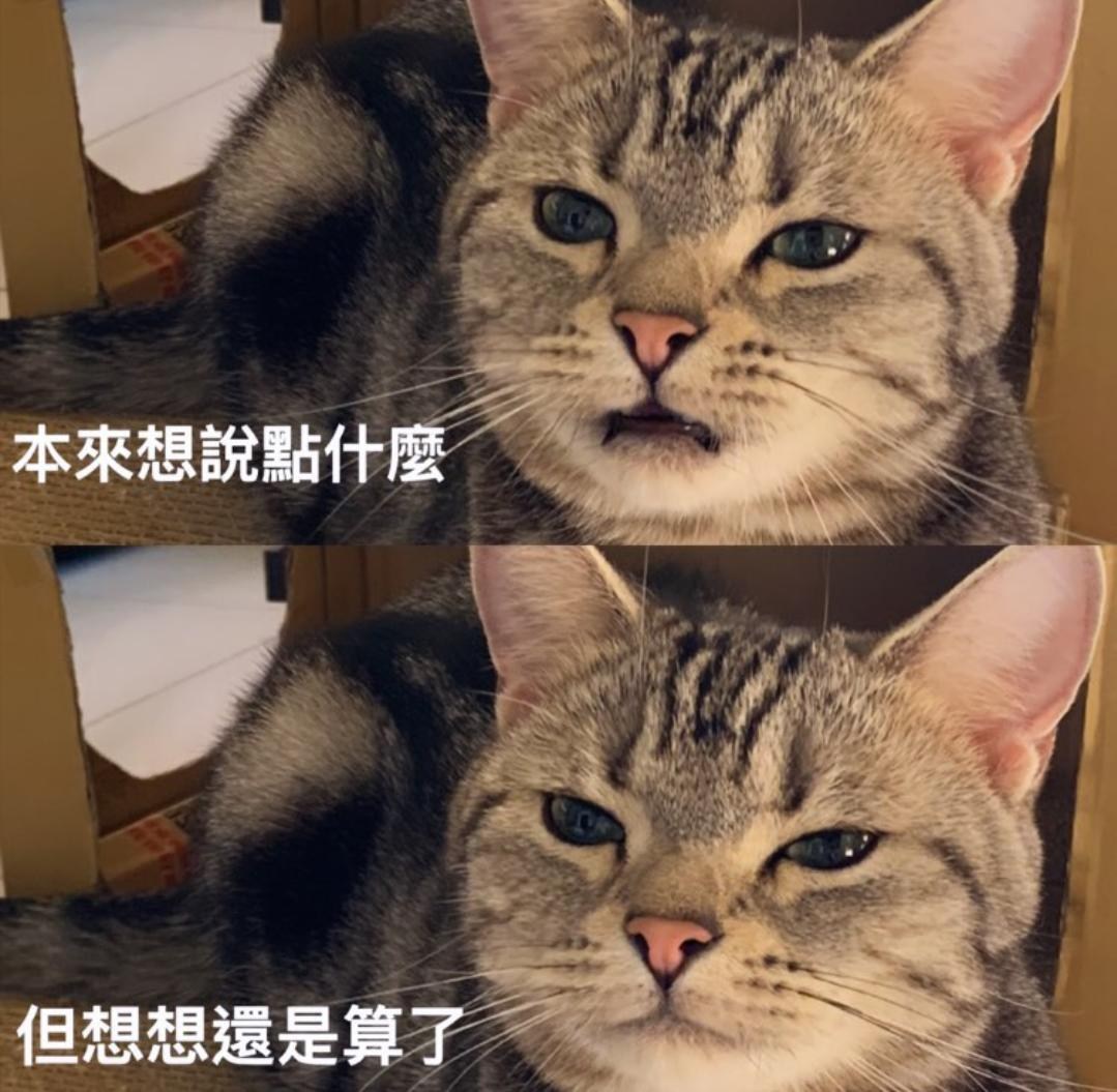 【討論】2023年4月新番《在異世界獲得超強能力的我，在現實世界照樣無敵》集中討論串 @動漫相關綜合 哈啦板 - 巴哈姆特