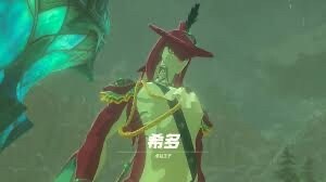 【心得】突然發現希多一家人.. @薩爾達傳說 系列 哈啦板 - 巴哈姆特