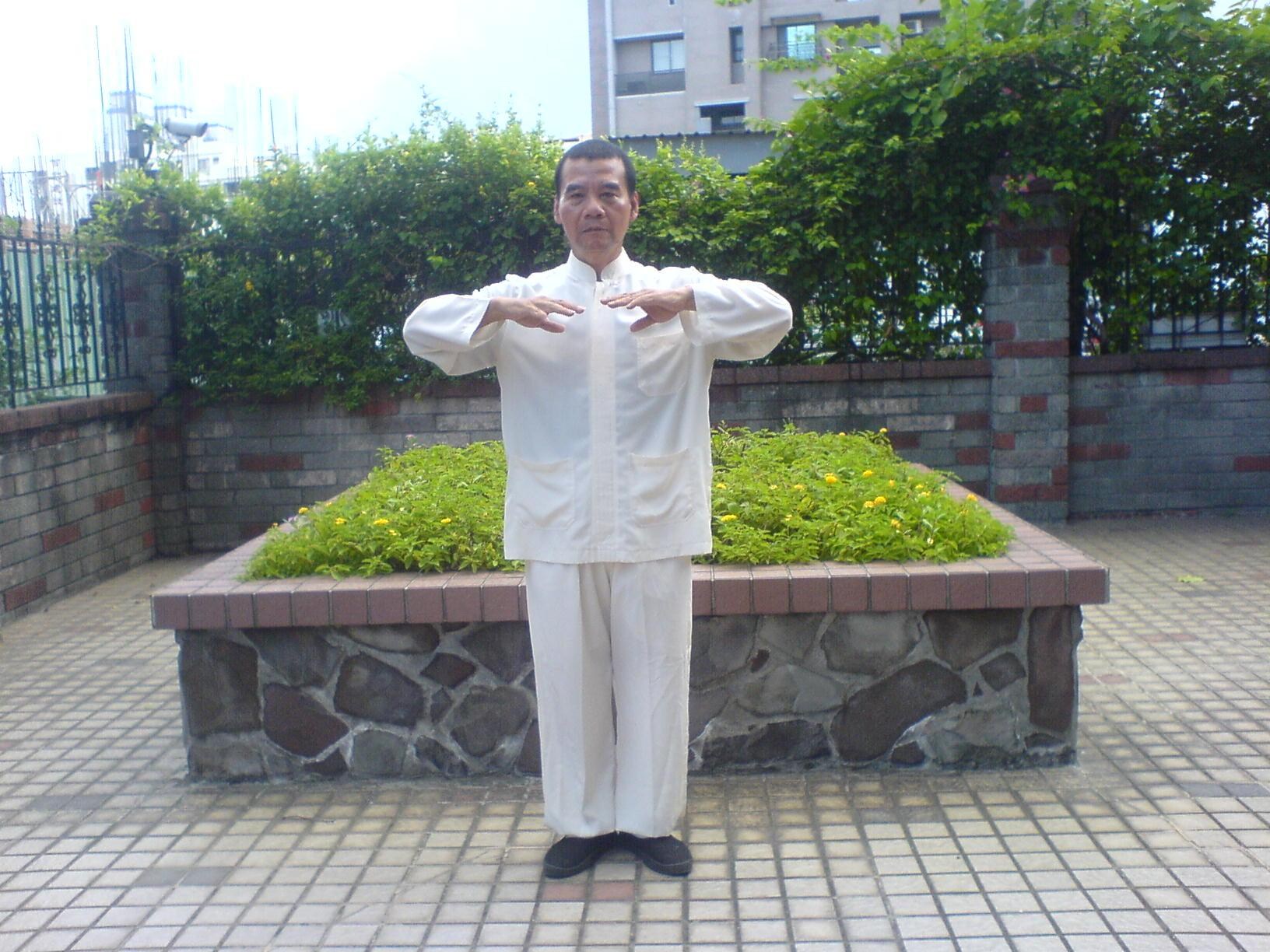 [達人專欄] 熊門楊家太極拳～108進步搬攔捶＆111十字手合太極 - lkkchl2022的創作 - 巴哈姆特