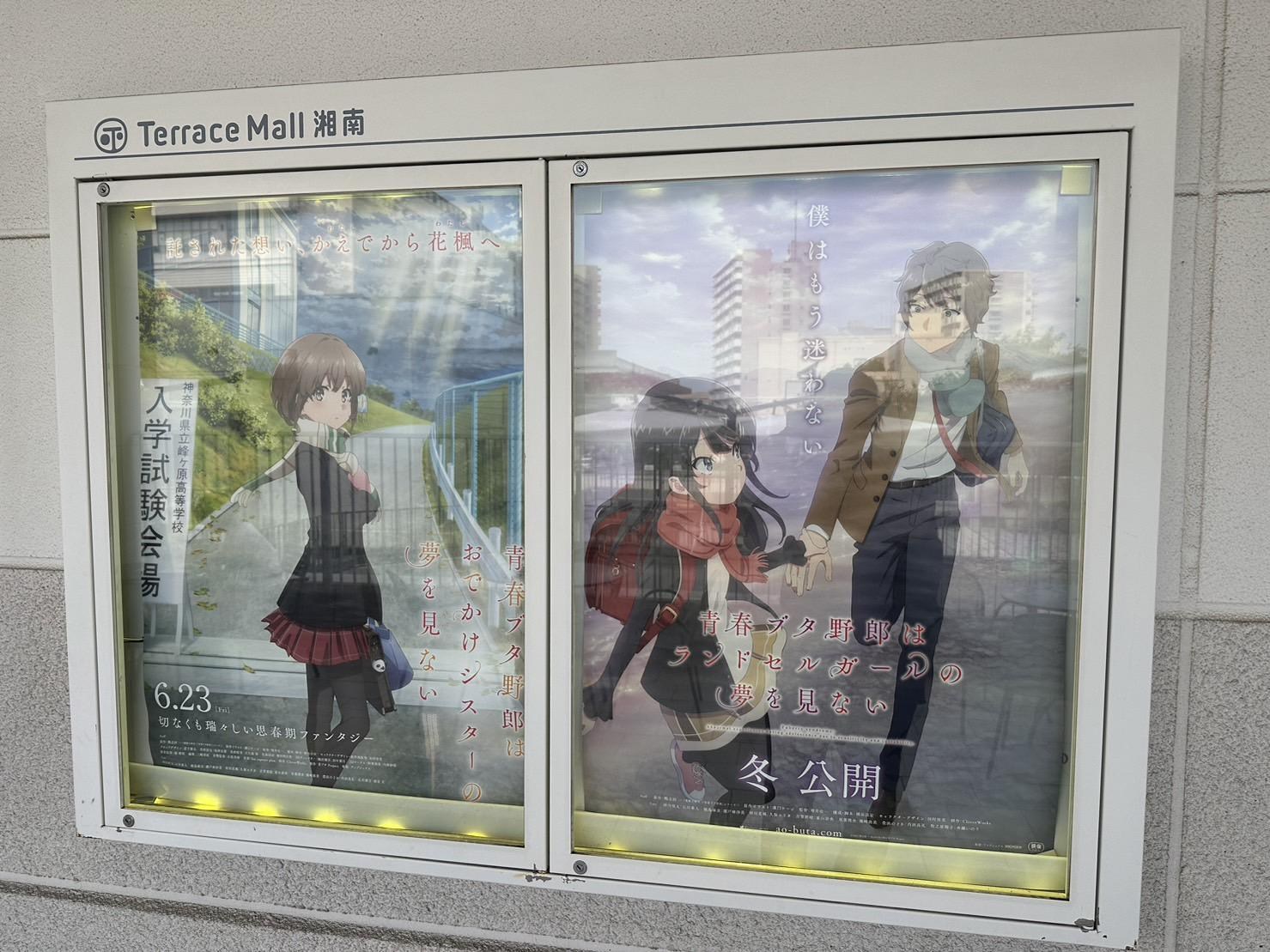 【閒聊】妹妹觀影前須知 鴨志田一 作品集（青春豬頭少年 系列） 哈啦板 巴哈姆特