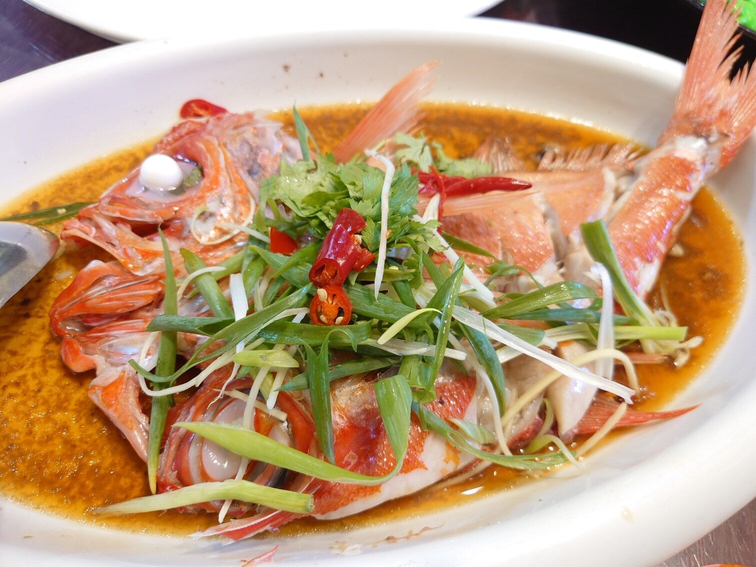 [食記]與南方澳海鮮的美好邂逅/宜蘭蘇澳/海珍活海鮮餐廳