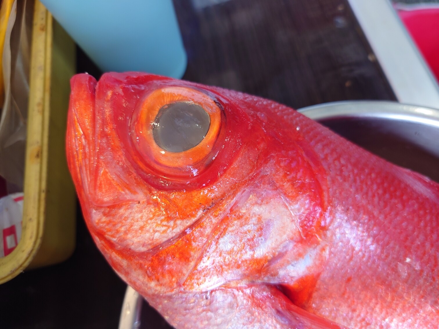 [食記]與南方澳海鮮的美好邂逅/宜蘭蘇澳/海珍活海鮮餐廳