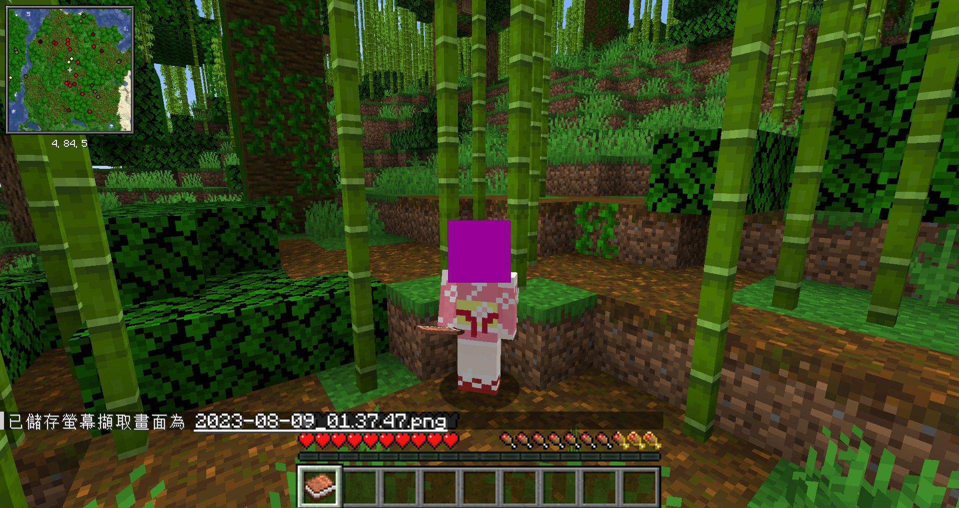 【問題】裝備破圖.... @Minecraft 我的世界（當個創世神） 哈啦板 - 巴哈姆特