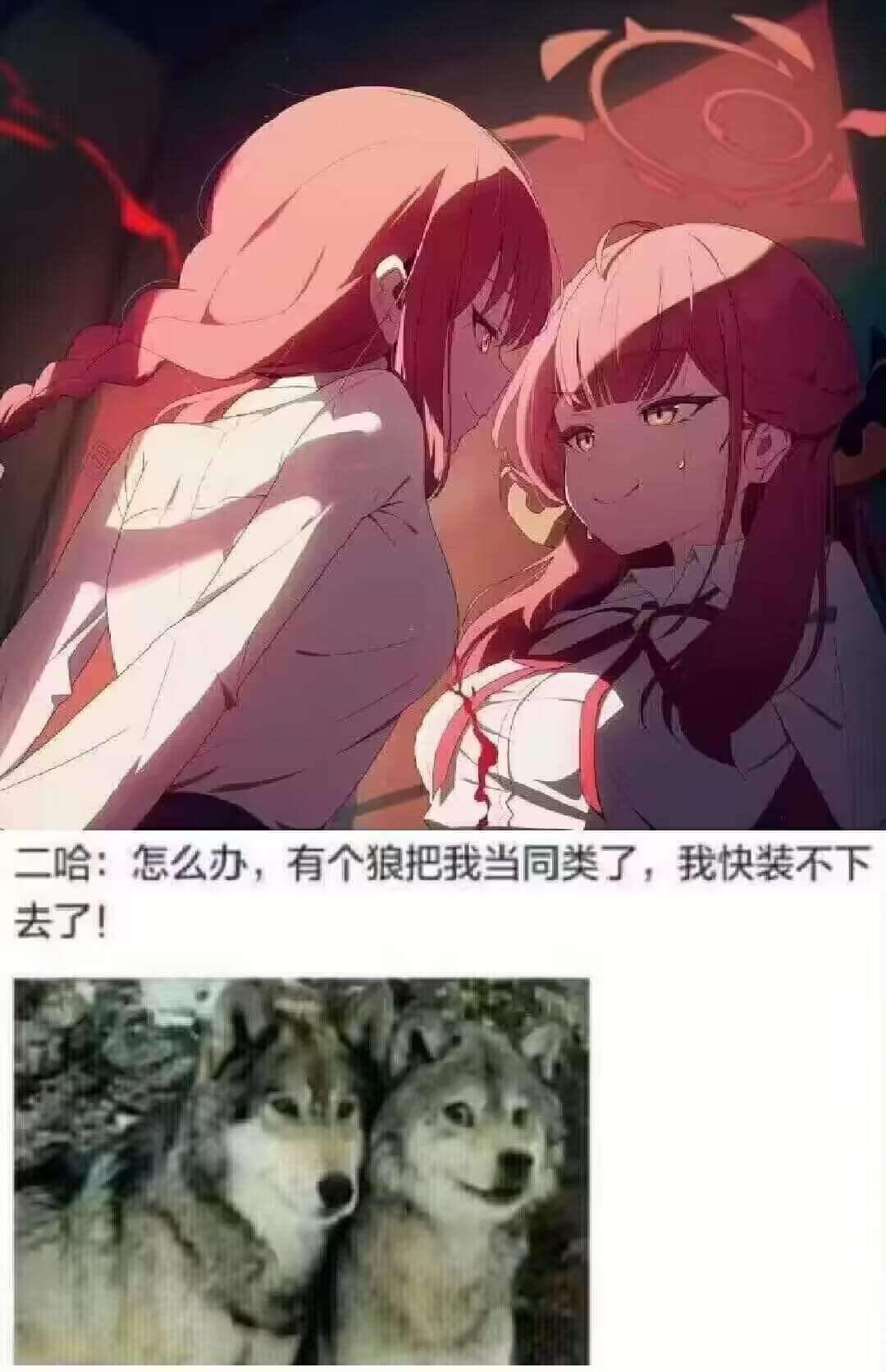 RE:【歡樂向】檔案梗圖、趣圖、梗文串 (賀開串滿2周年) @蔚藍檔案 哈啦板 - 巴哈姆特