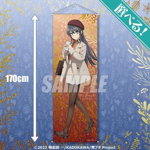 描き下ろし 安和すばる B2タペストリー アー写Ver. [ガールズ
