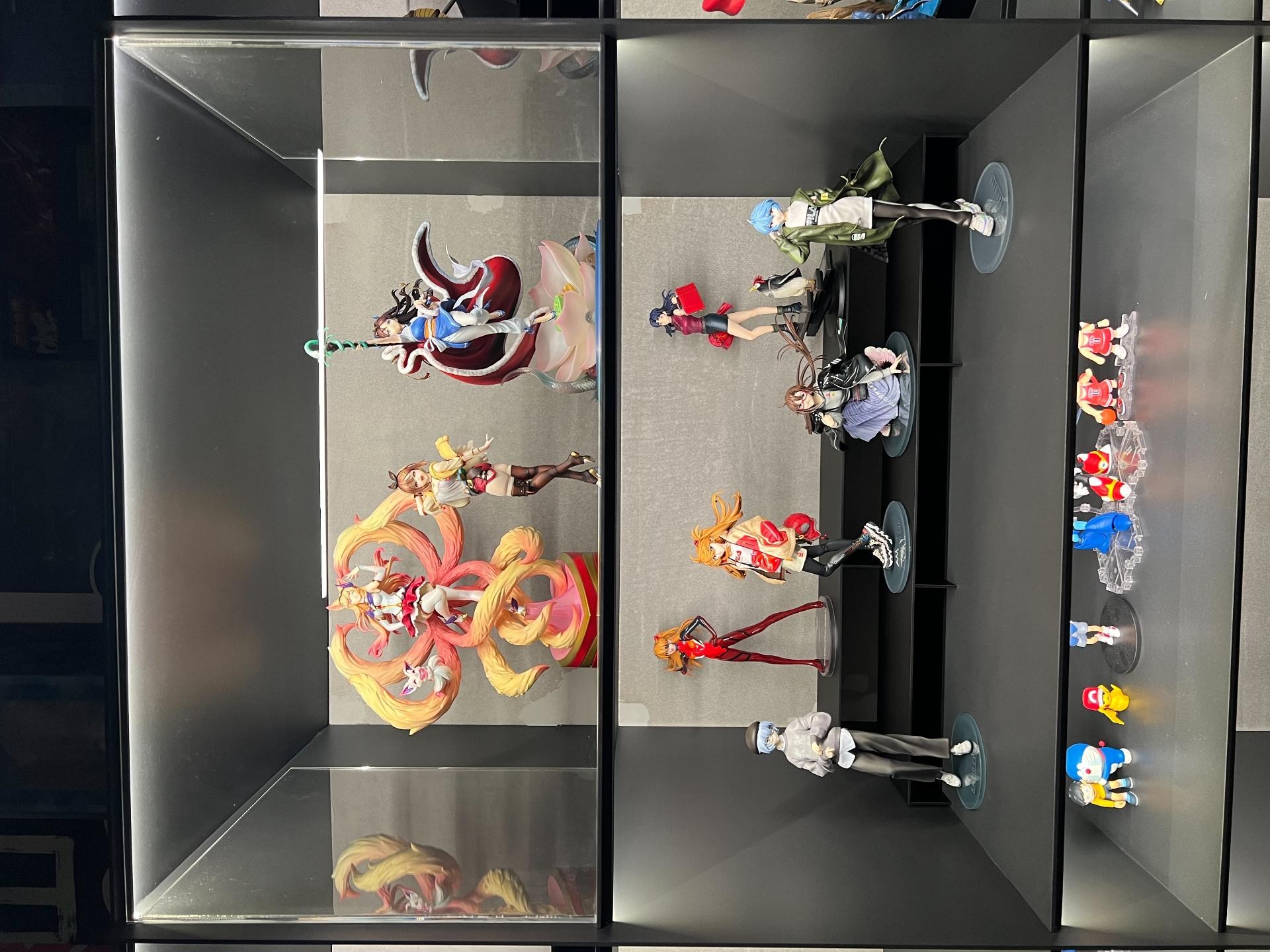 【問題】展示櫃詢問 @綜合公仔玩具討論區 哈啦板 - 巴哈姆特