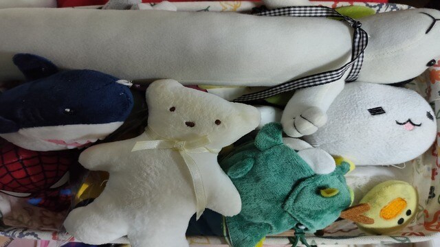 小斯與小修之家