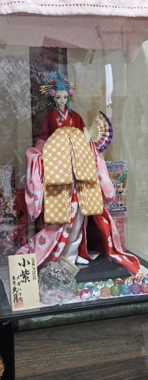 其他】久月X Mega House 小紫展示分享@航海王One Piece（海賊王） 哈啦