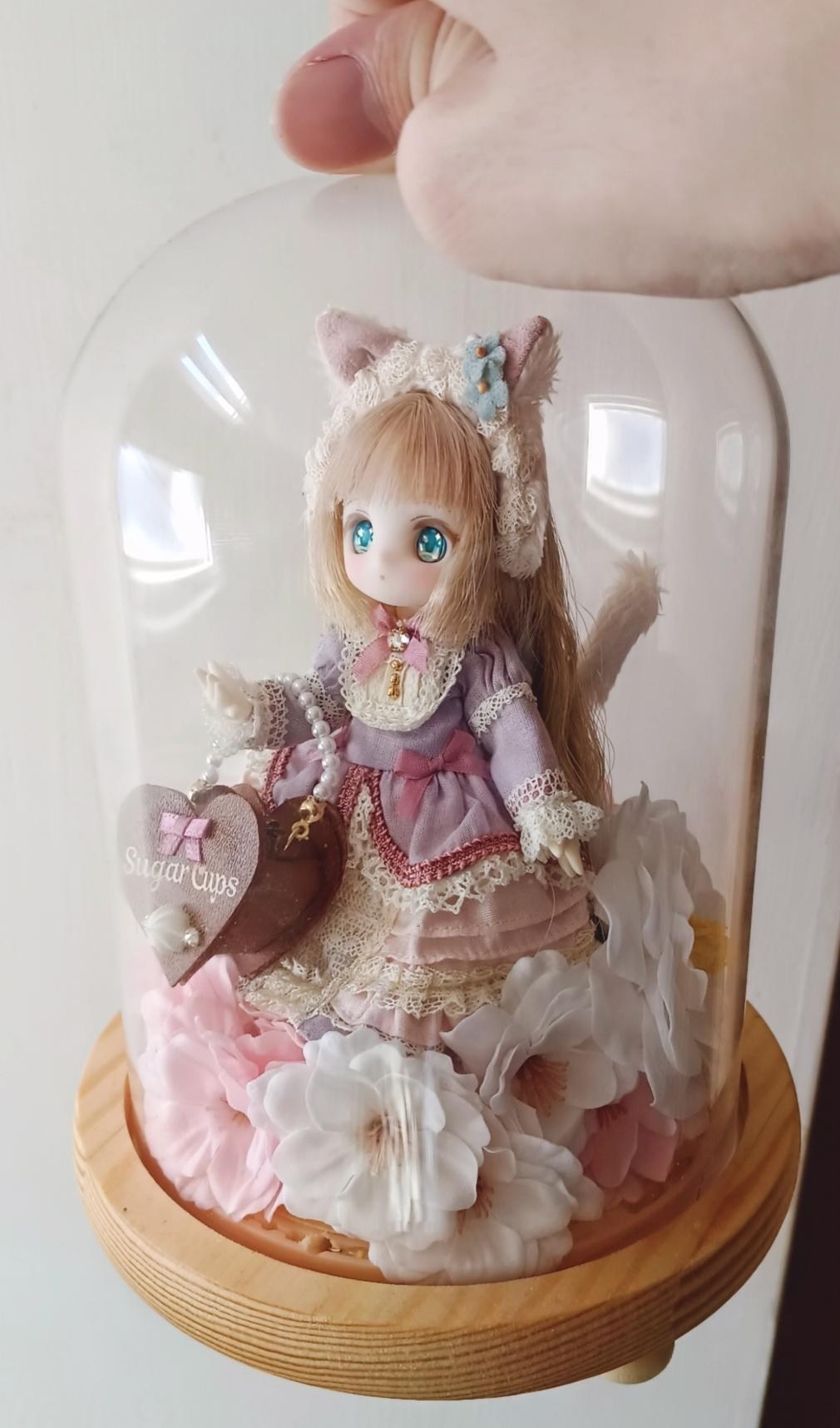 azone - 【新品】　SugarCups ショコラーラ ～Little Milky Cat シュガーカップス「Primrose × SugarCups/ ショコラーラ