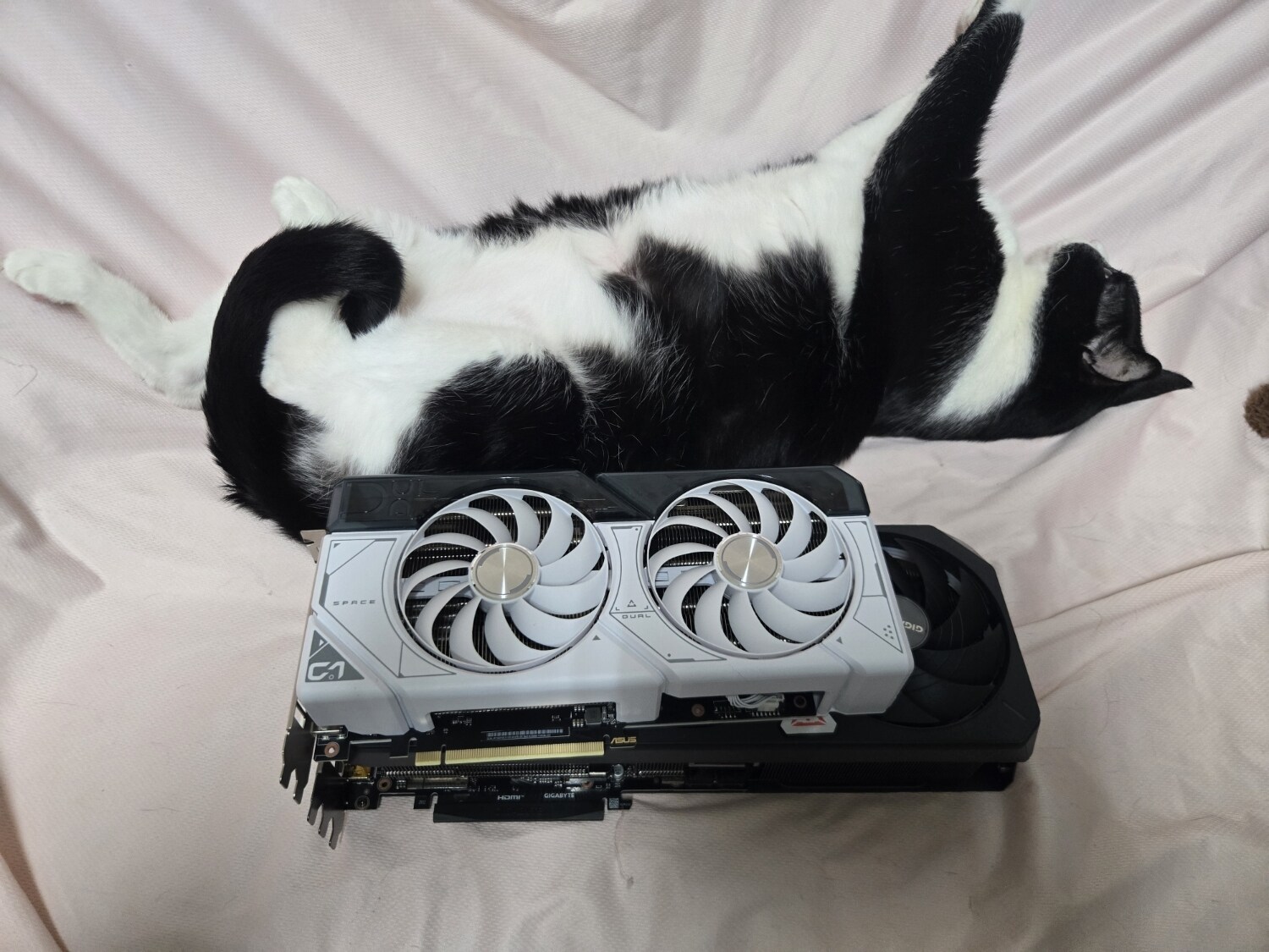 開箱 GIGA RTX 5080 GAMING OC 16G - herro75758的創作 - 巴哈姆特