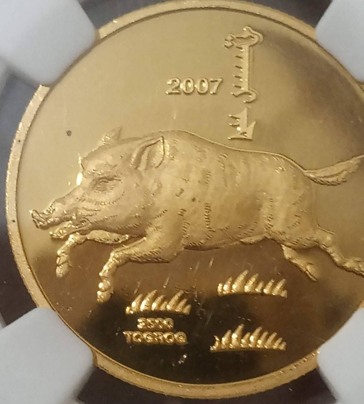 蒙古2007豬年紀念幣- m20235200410的創作- 巴哈姆特