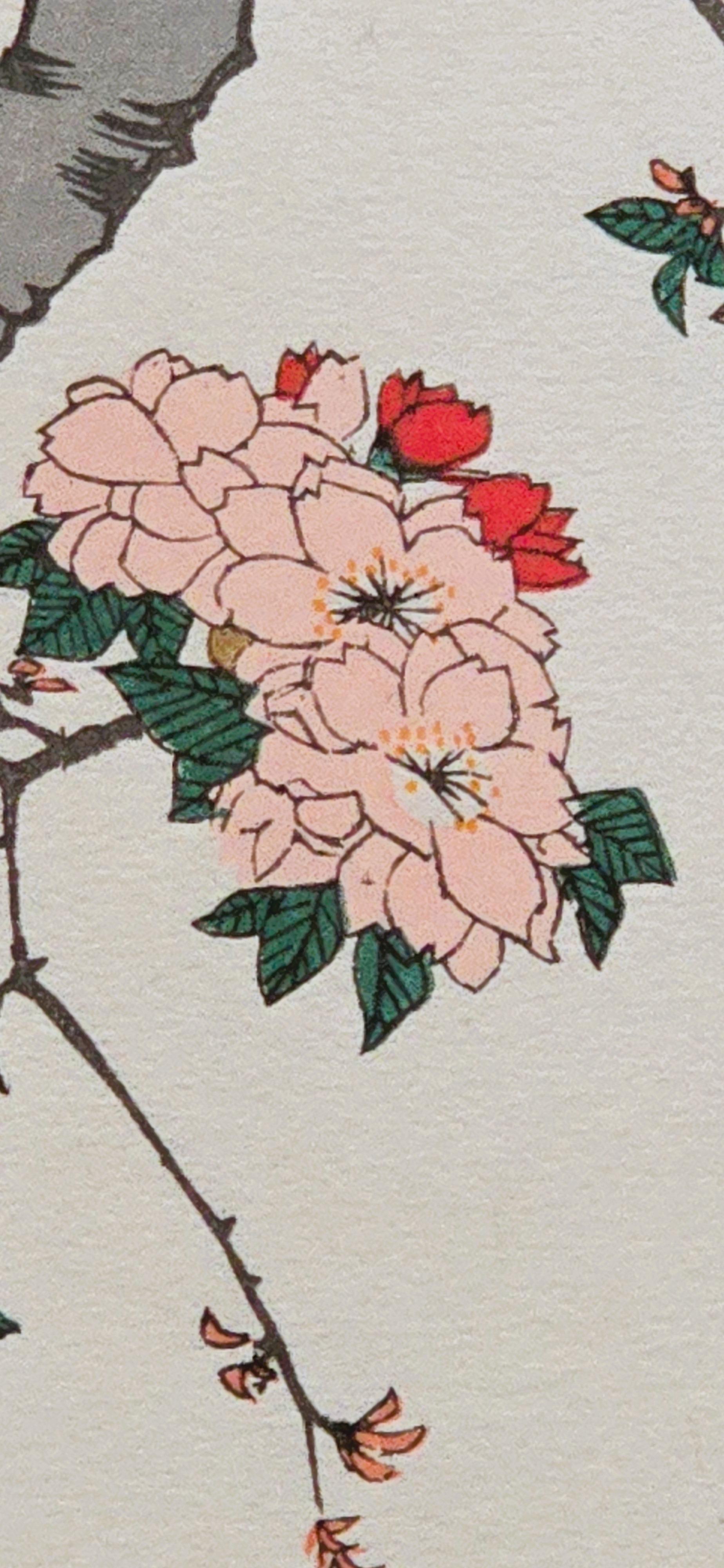 心得】【第一刷限定100枚】狼と香辛料浮世絵木版画狼桜美人図ホロ新緑