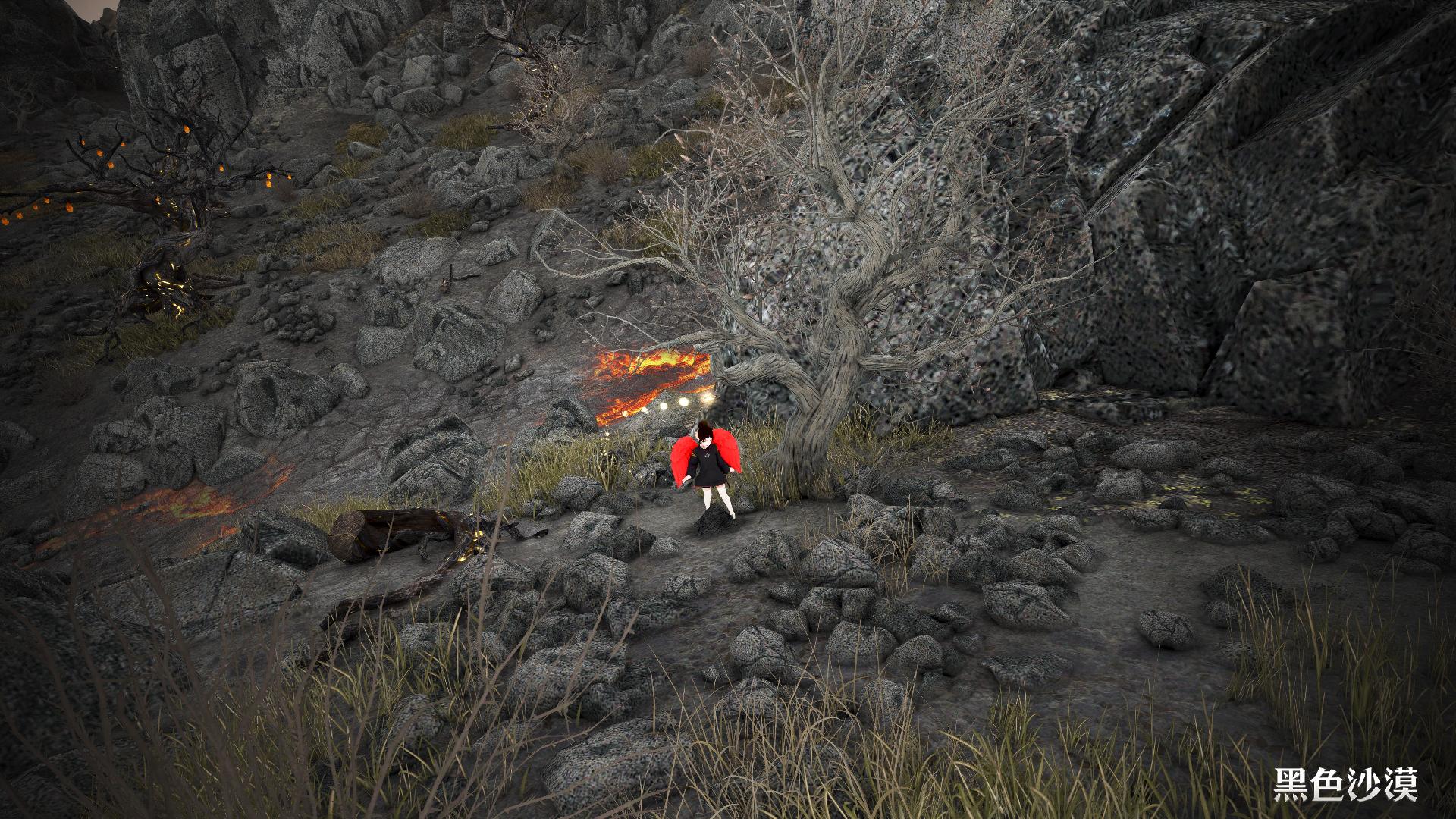 攻略】所有木頭類採集點@黑色沙漠BLACK DESERT 哈啦板- 巴哈姆特